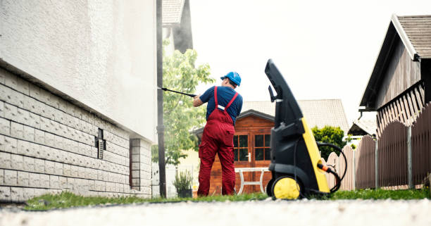 Best Building Exterior Washing  in Shenandoah, VA